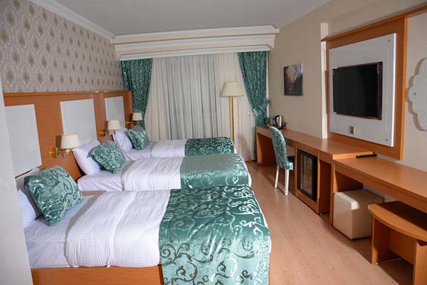 هتل Haldi Hotel van 