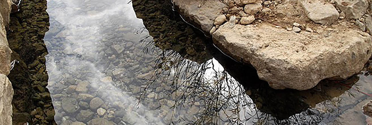 آب رکنی (رکن آباد) 